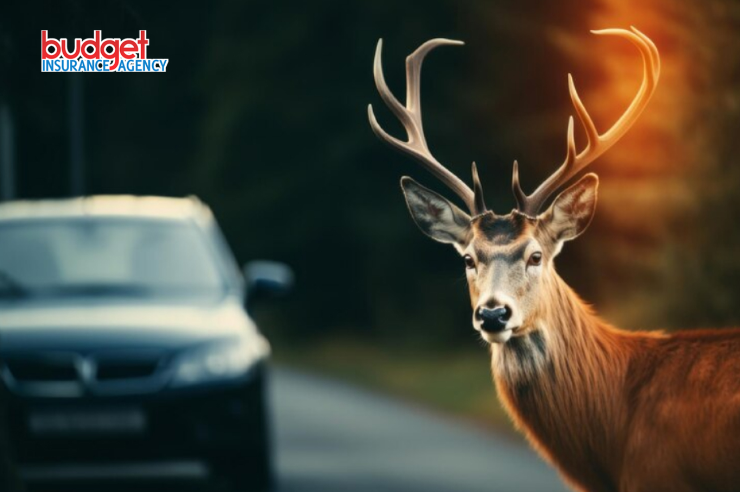 Texas Wildlife Hazards: Does Your Insurance Cover Deer Collisions?