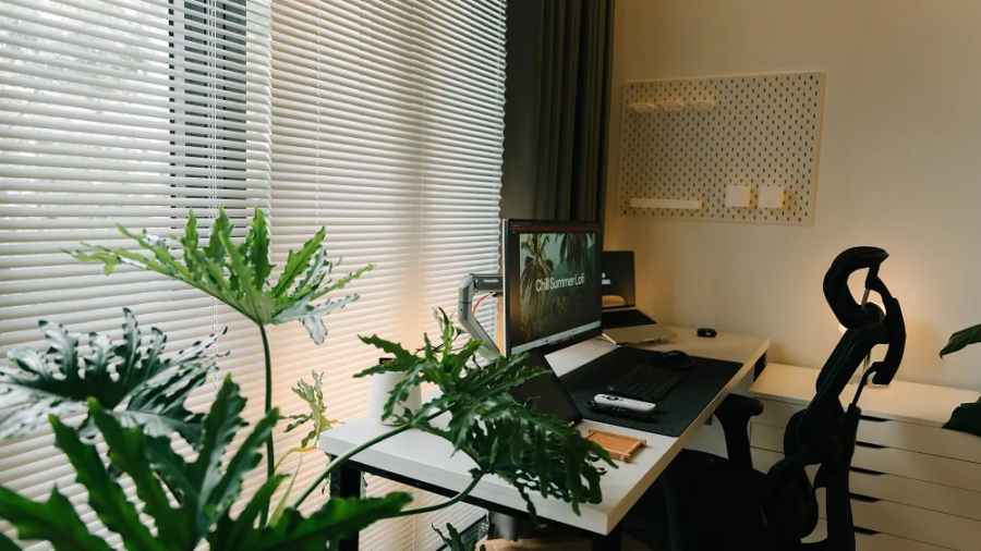 Modern home office setup featuring a computer monitor, desk, chair, and houseplants next to window blinds