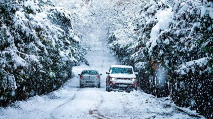 Two vehicles navigating a snow-covered road lined with snow-laden trees during a winter storm