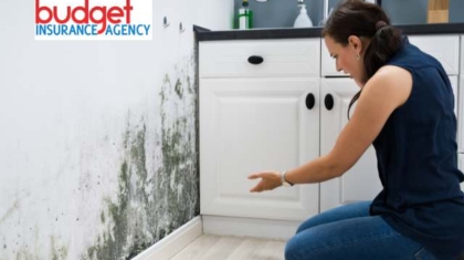 Woman kneeling in a kitchen inspecting dark mold stains spreading along the white drywall