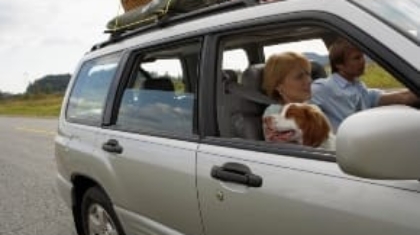 Family driving in a SUV loaded with luggage on top and a dog looking out the window