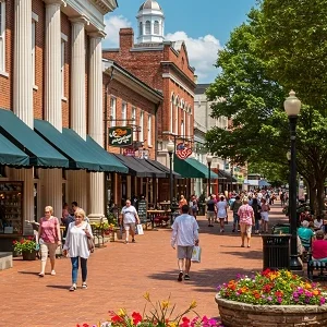 Cheap Car Insurance Athens Cheap Car Insurance Athens