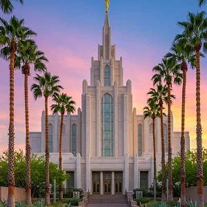 Cheap Car Insurance Mesa