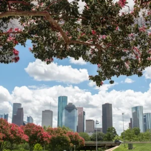 Auto Insurance Texas Auto Insurance Texas